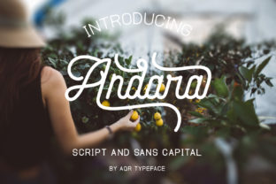 Andara Script: A Smooth Monoline Typeface for Handmade Brands