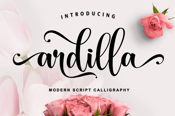 Ardilla Font: Elevate Your Brand With Classic Handwritten Style
