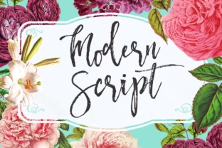Modern Script: Elevating Campaign Visuals with Blessed Print
