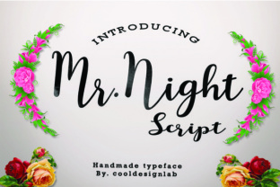 Mr. Night Typeface: Elevate Campaign Visuals with Handmade Script Style