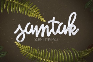 Samtak Script: The Display Typeface That Elevates Small Business Branding