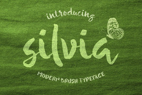 Silvia: A Relaxed Script Font for Polished Brand Identity