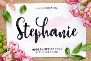 Stephanie Script Typeface Review: A Modern Script for Digital Brands